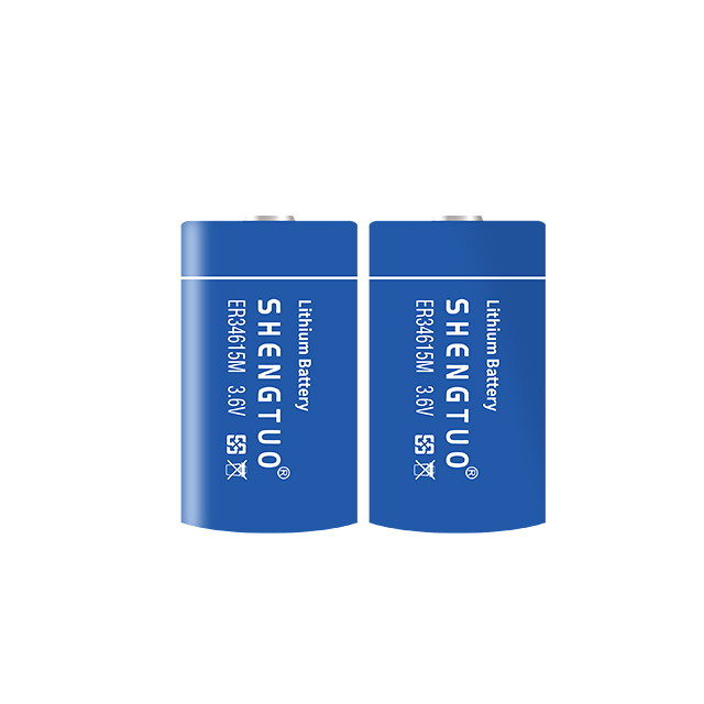ER34615M 13000mAh 3.6V D
